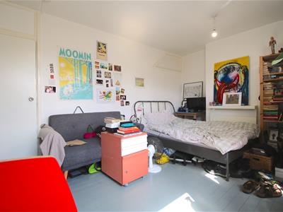 Picture 7